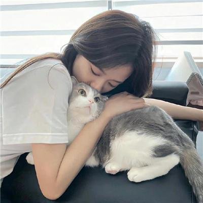 猫侍 第二季